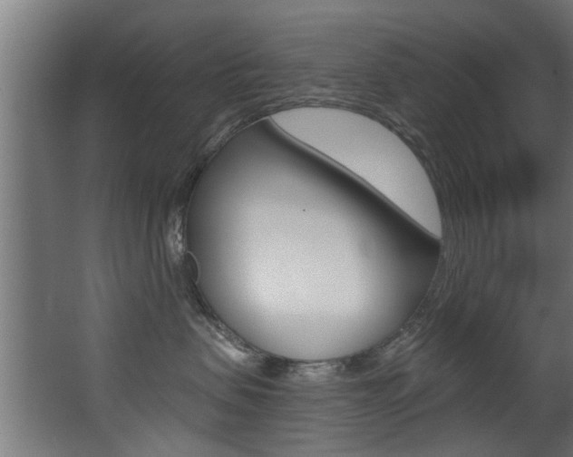 X0000068310479200604211041