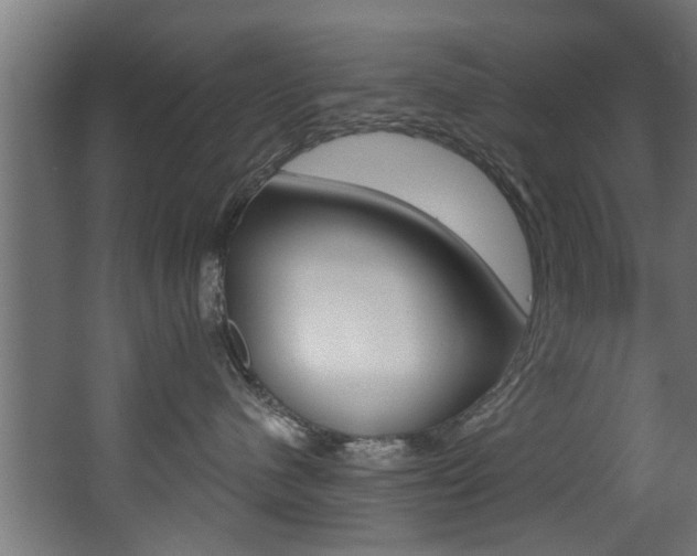 X0000068310480200604211041