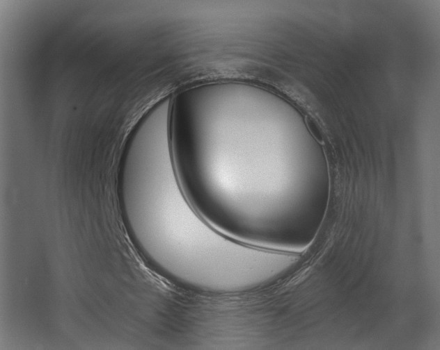 X0000068310481200604211040