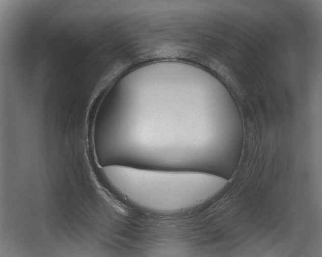 X0000068310486200604211040