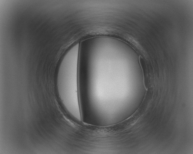X0000068310489200604211040