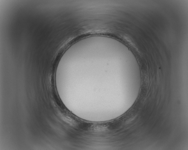 X0000068310491200604211040