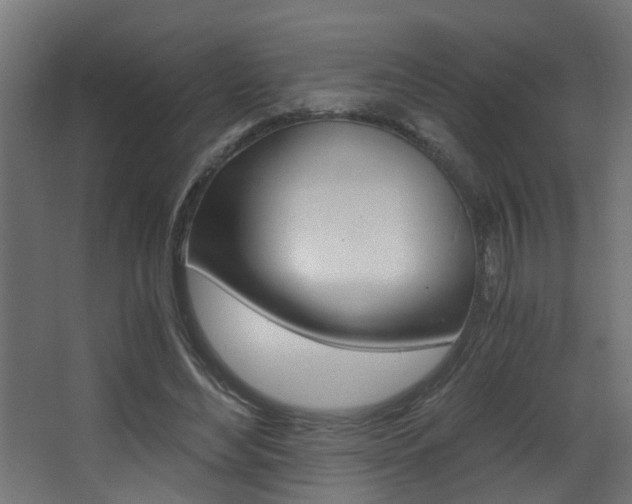 X0000068310492200604211040