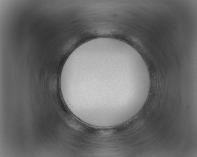 X0000068310495200604211040