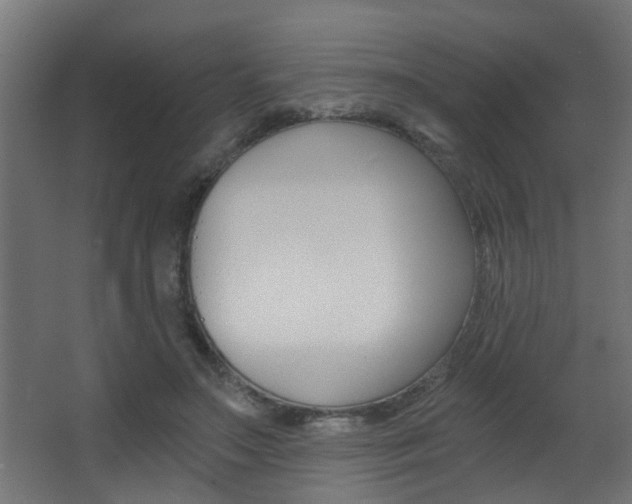 X0000068310499200604211040