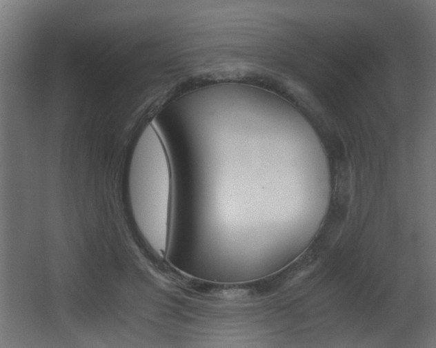 X0000068310501200604211040