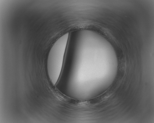 X0000068310505200604211040