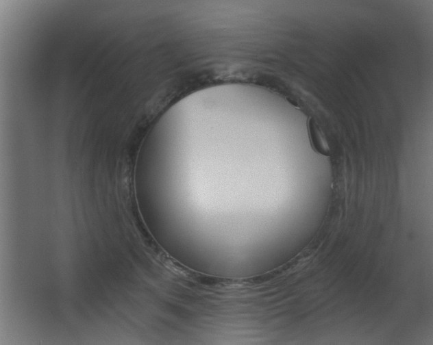 X0000068310513200604211040