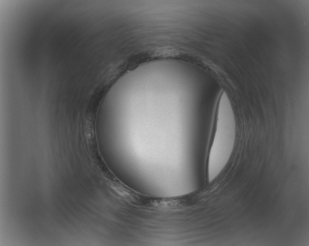 X0000068310517200604211040