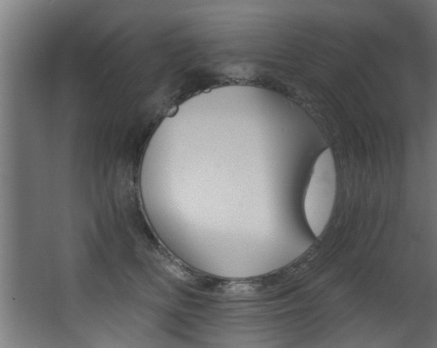 X0000068310518200604211040