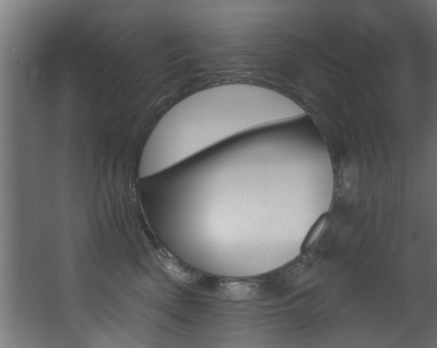 X0000068310522200604211040