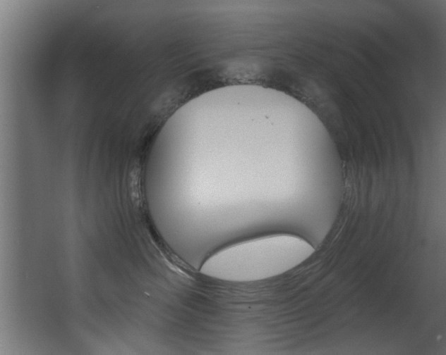 X0000068310526200604211040
