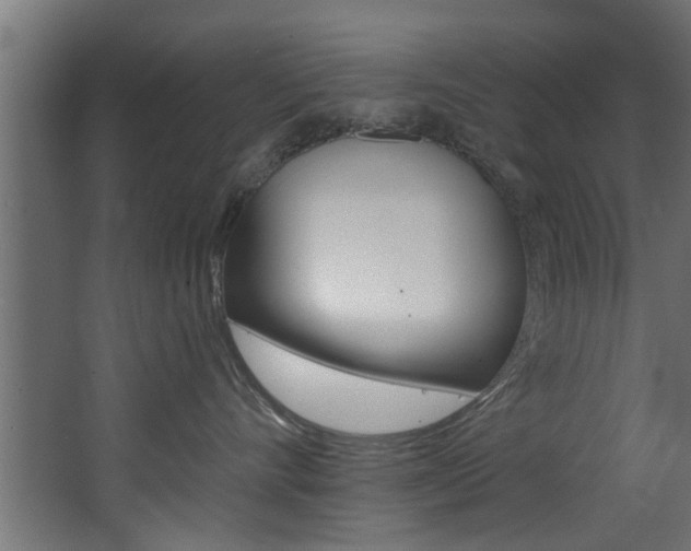 X0000068310528200604211040