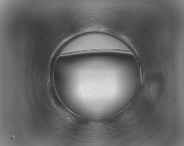 X0000068310531200604211039