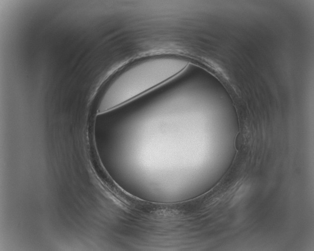 X0000068310535200604211039