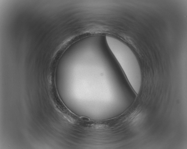 X0000068310539200604211039