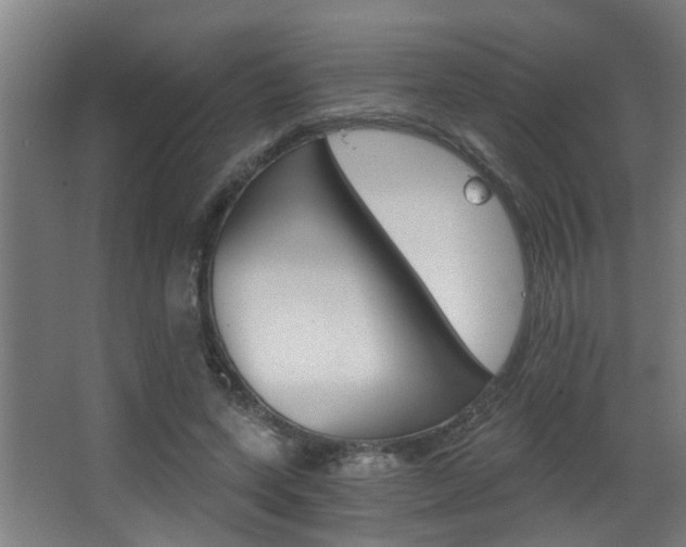 X0000068310543200604211039