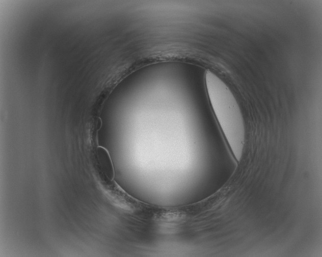 X0000068310546200604211039