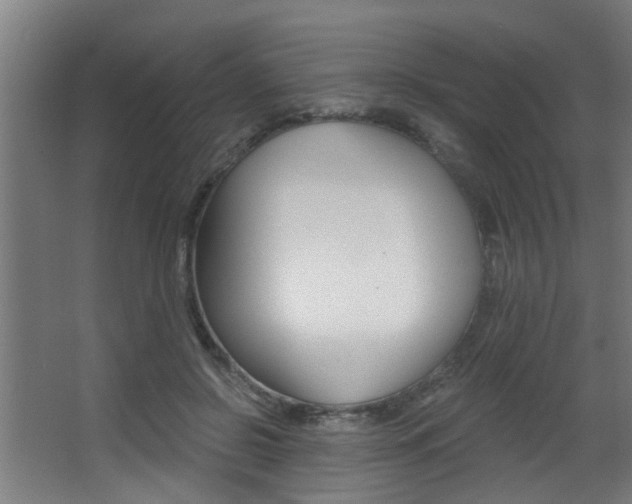 X0000068310550200604211039