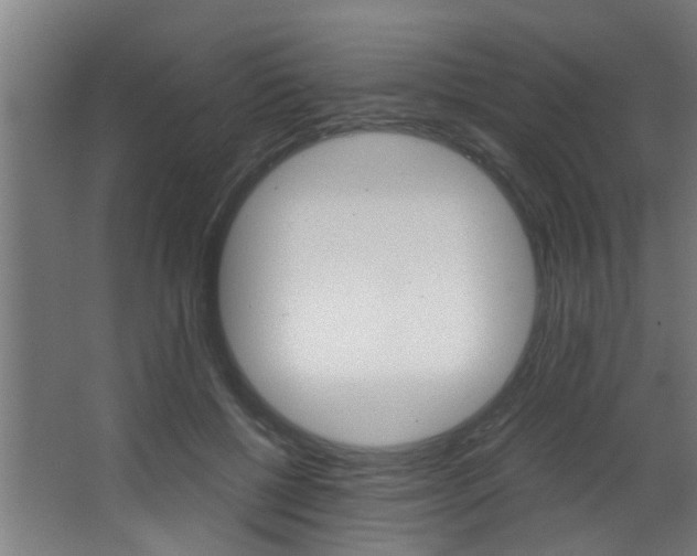 X0000068310552200604211039