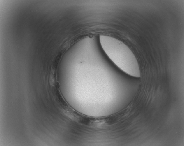 X0000068310554200604211039