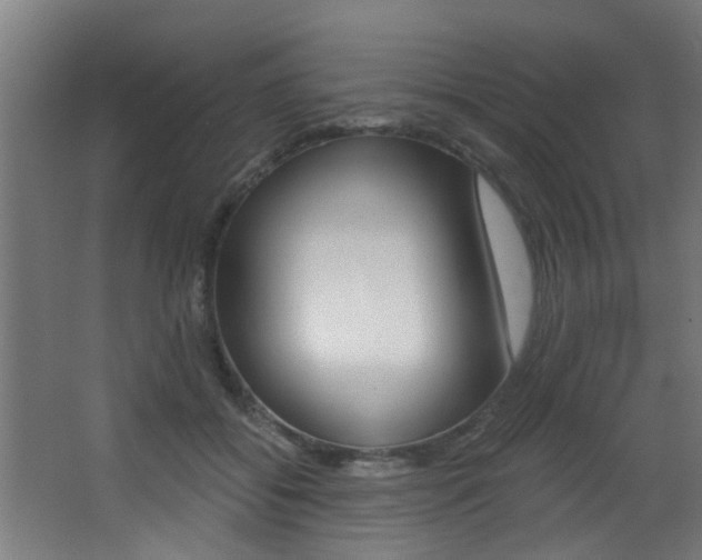 X0000068310556200604211039