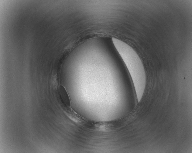 X0000068310564200604211039