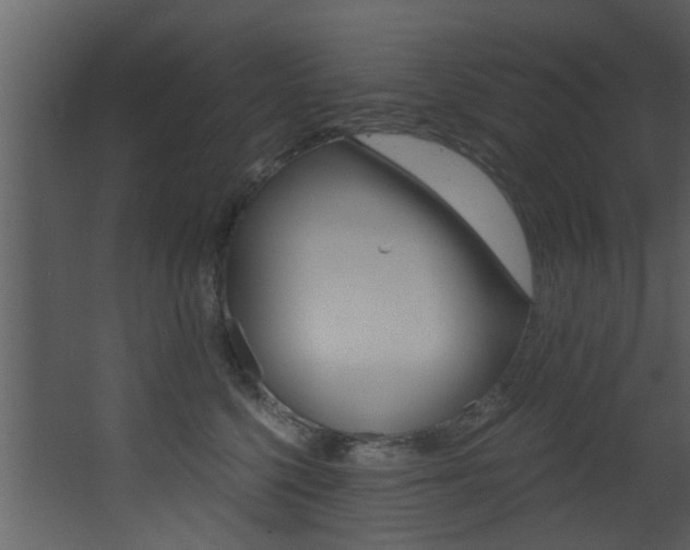 X0000068310568200604211039