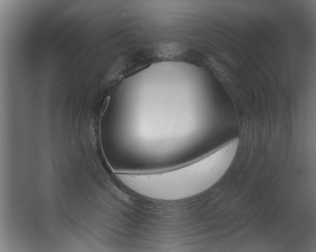 X0000068310572200604211039