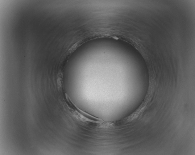 X0000068310576200604211040