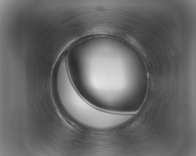 X0000068310580200604211039