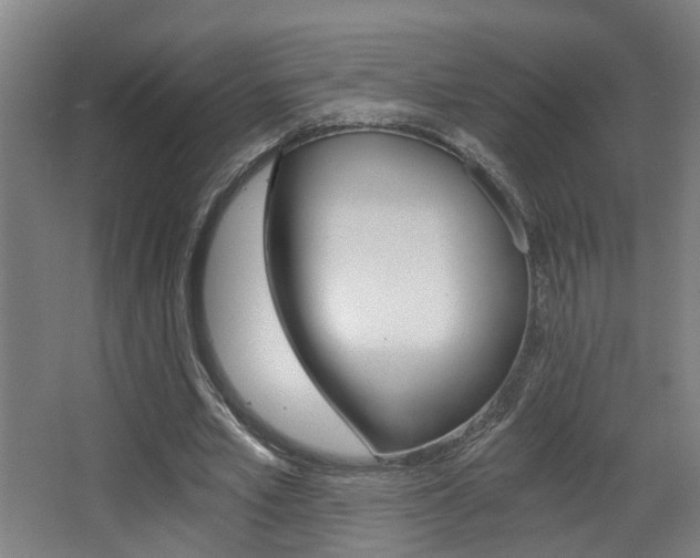 X0000068310581200604211039
