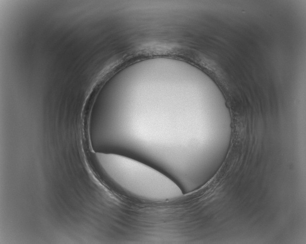 X0000068310582200604211039