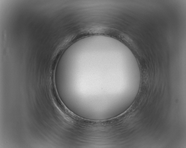 X0000068310586200604211039