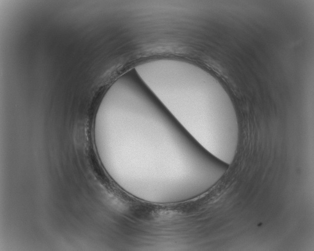 X0000068310590200604211039