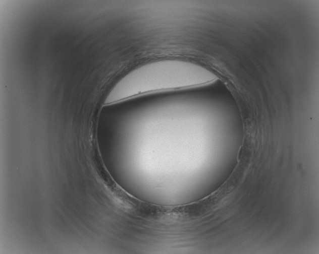 X0000068310593200604211038