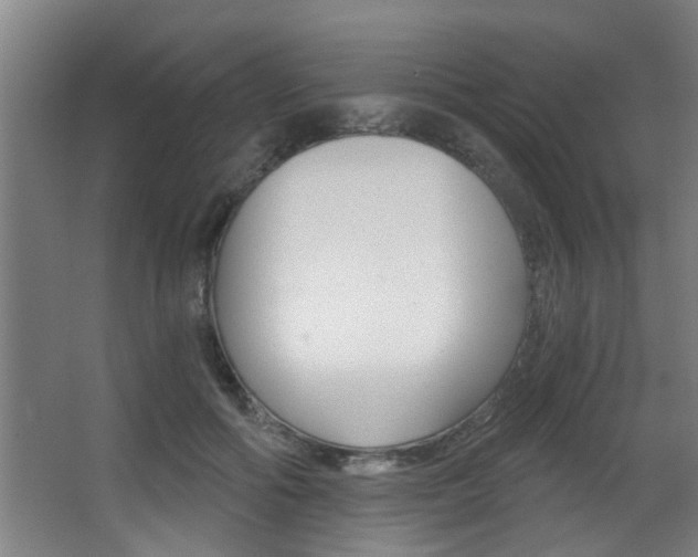 X0000068310602200604211038