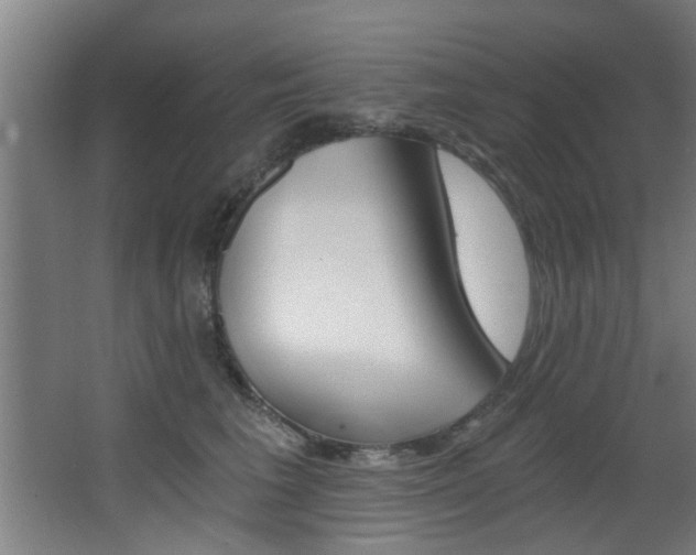 X0000068310613200604211038