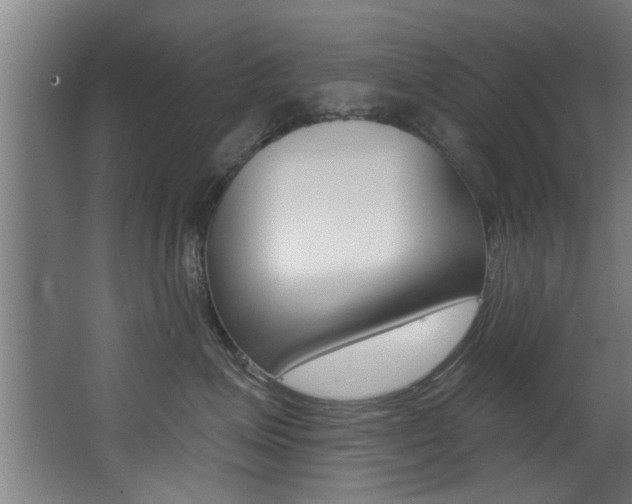 X0000068310623200604211038