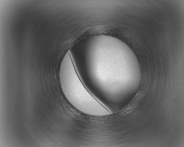 X0000068310624200604211038