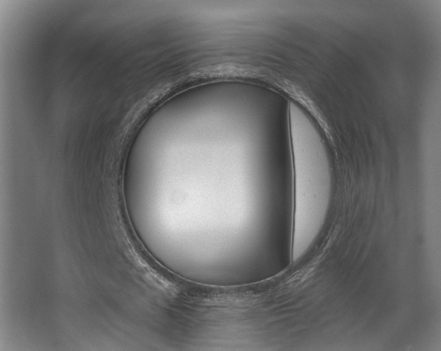 X0000068310625200604211037