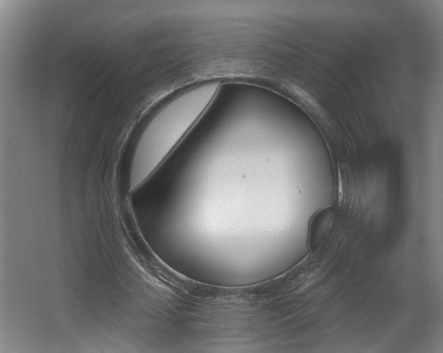 X0000068310627200604211037