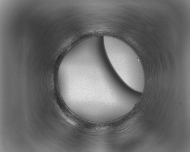 X0000068310638200604211037