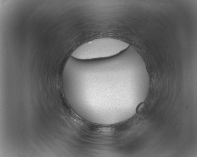 X0000068310659200604211038