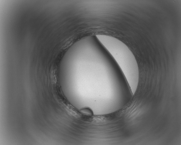 X0000068310666200604211038