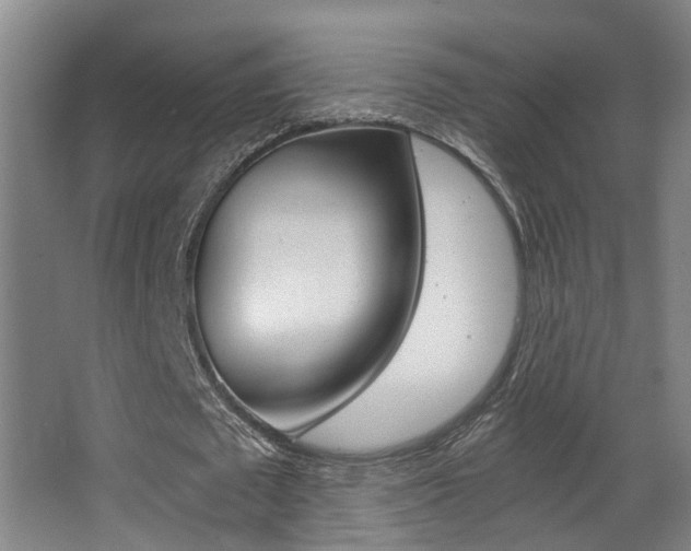 X0000068310673200604211037