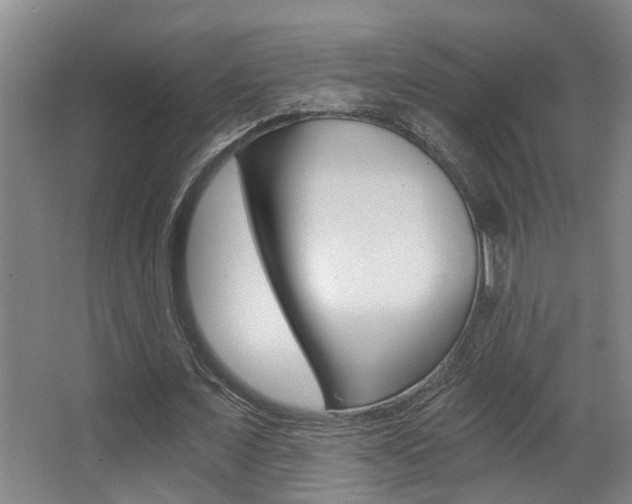 X0000068310675200604211037