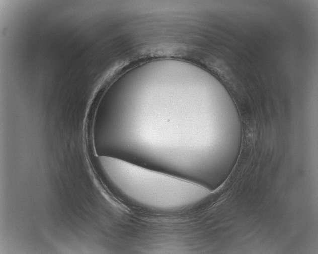 X0000068310678200604211037