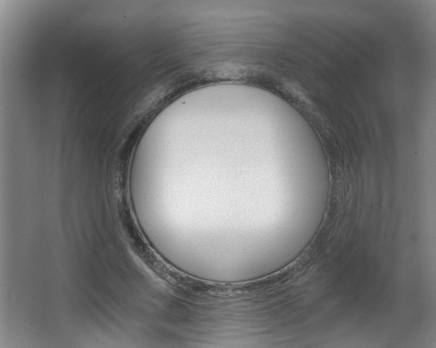 X0000068310683200604211037