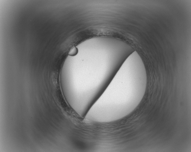 X0000068310695200604211037